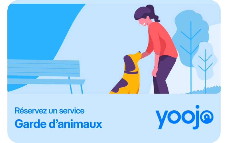 Yoojo - Animaux