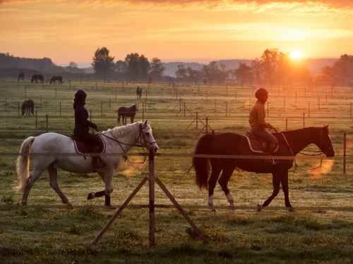 Balade à cheval